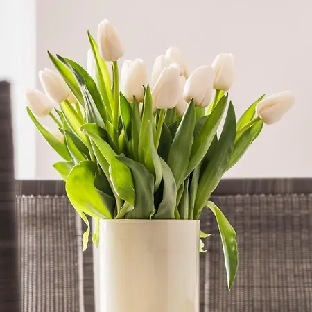 Haus Deichkieker 2 4 Strandoase Daire *